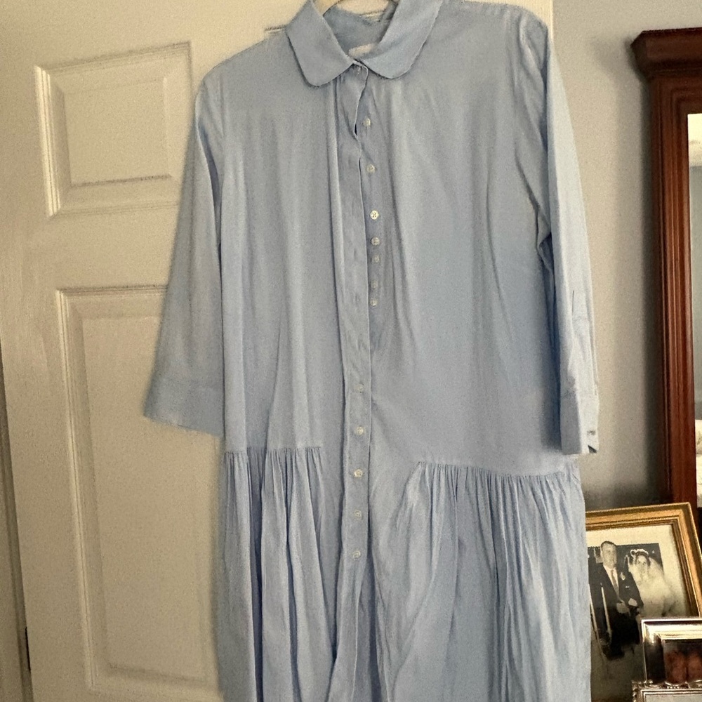 The Shirt by Rochelle Behrens Light Blue dress.